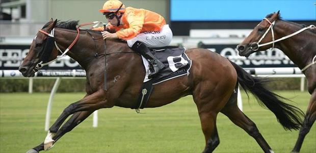 Darciwood - Randwick - 14/02/2015